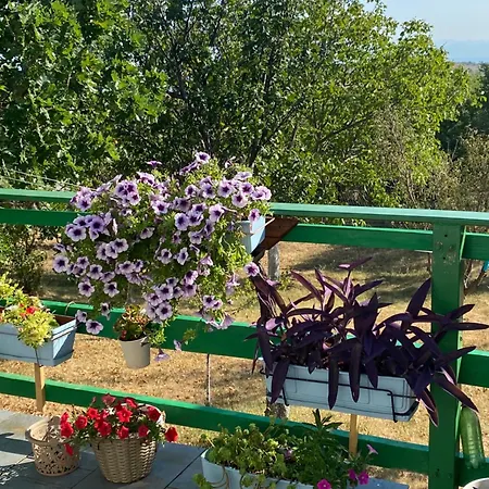 בקתה Agroturizam Kucica